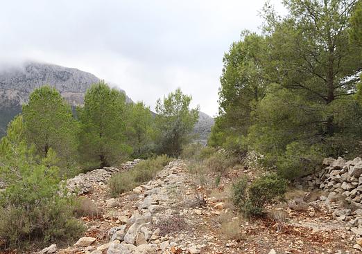Land in Jalón