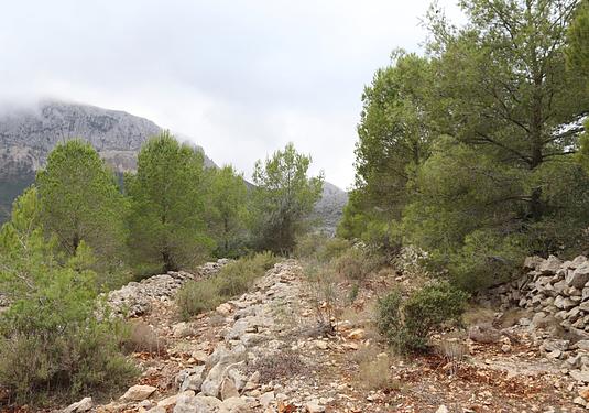 Land in Jalón