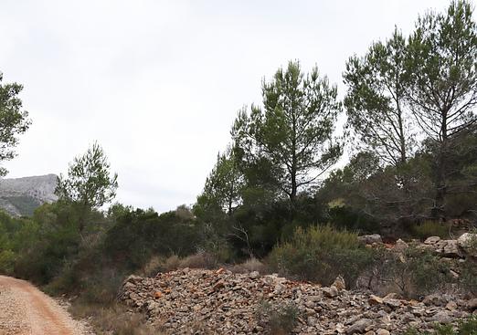Land in Jalón