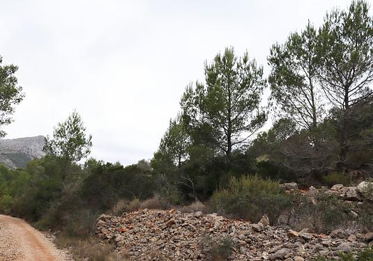 Land in Jalón
