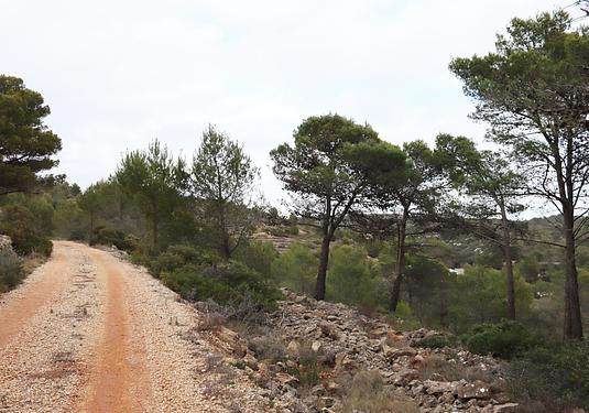 Land in Jalón