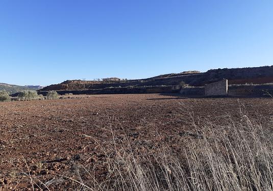 Land in Pinoso