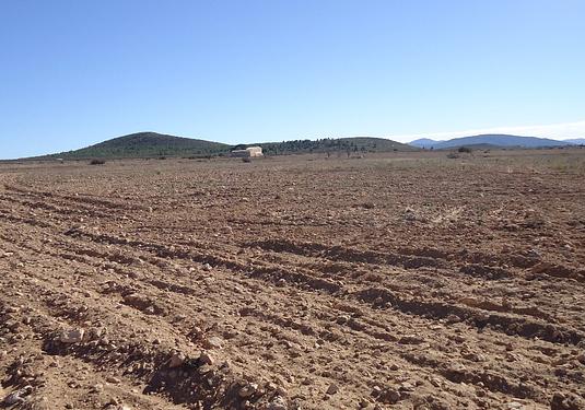 Land in Yecla