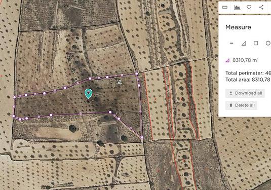 Land in Jumilla