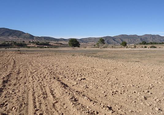 Land in Yecla