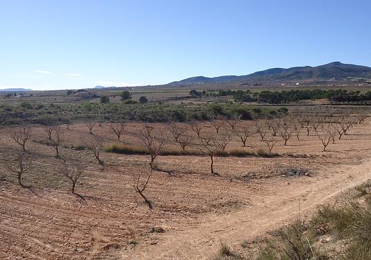 Land in Yecla