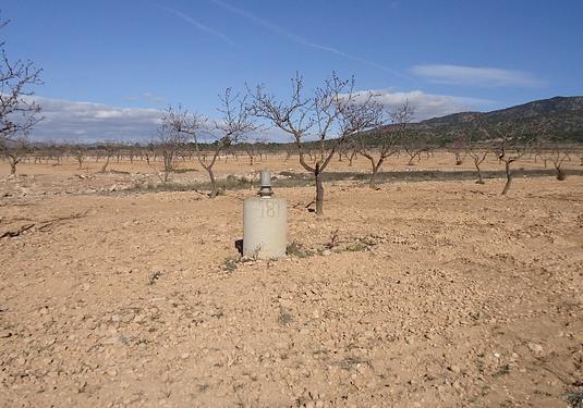 Land in Yecla