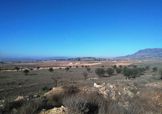 Land in Torre Del Rico