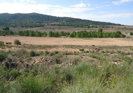 Land in Monóvar/Monóver