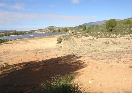 Land in Monóvar/Monóver