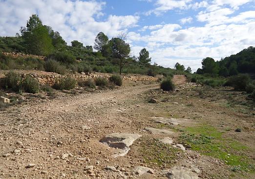 Land in Monóvar/Monóver