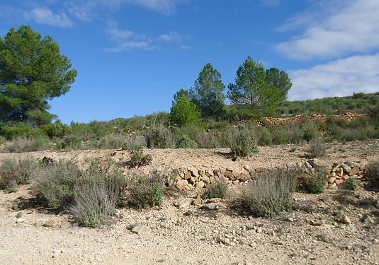 Land in Monóvar/Monóver
