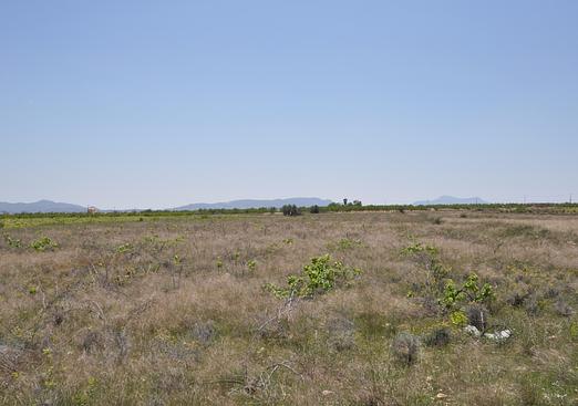 Land in Pinoso