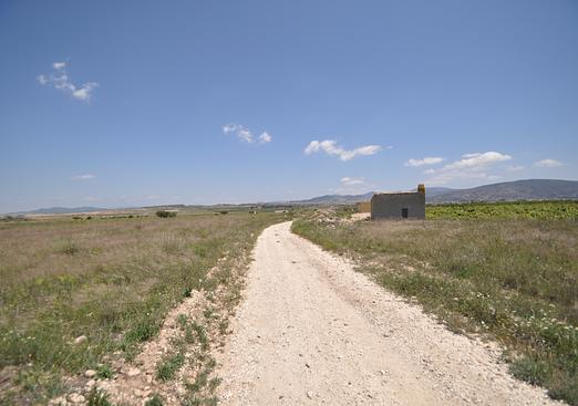 Land in Pinoso