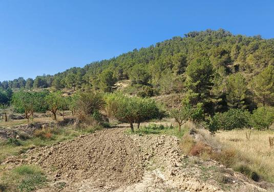 Villa in Jumilla