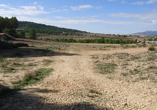 Land in Monóvar/Monóver