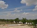 Land in Yecla
