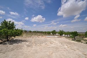 thumb 11
