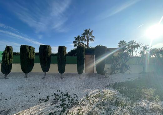 Country house in Elche