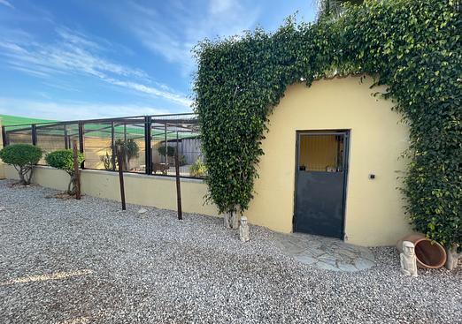Country house in Elche
