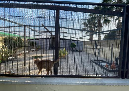 Country house in Elche