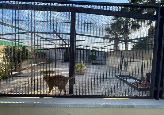 Country house in Elche