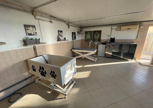 Country house in Elche