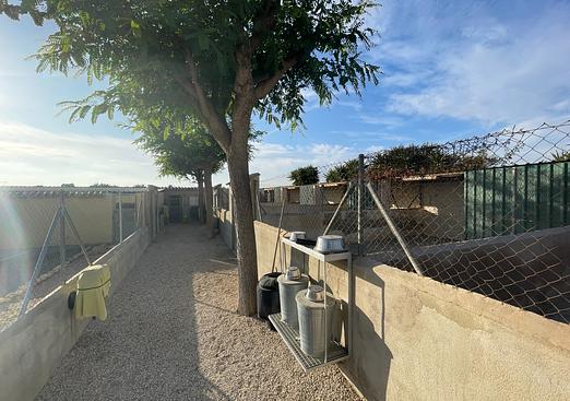 Country house in Elche