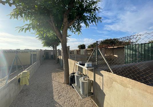 Country house in Elche
