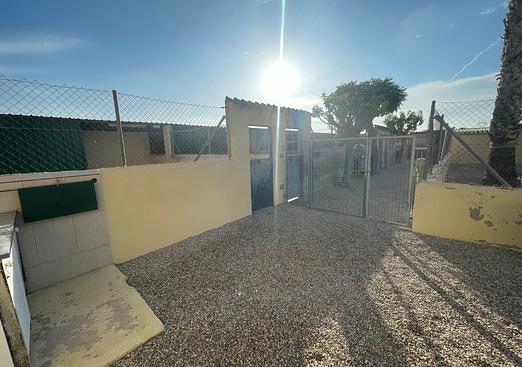 Country house in Elche