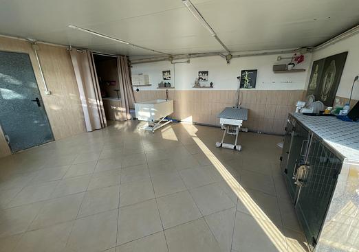 Country house in Elche