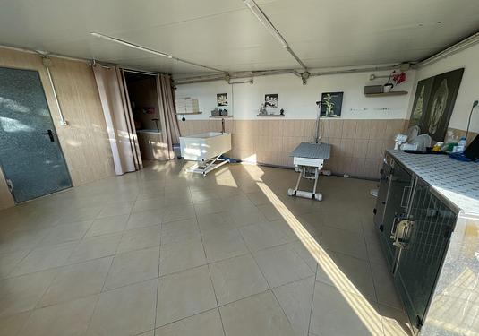 Country house in Elche