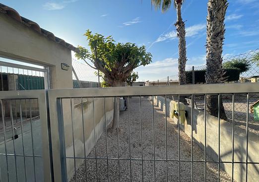 Country house in Elche