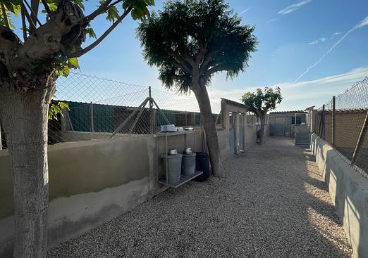 Country house in Elche