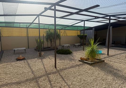 Country house in Elche