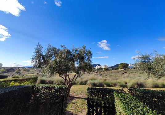 Apartment in Hacienda Riquelme Golf Resort