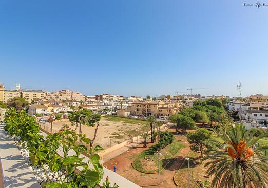 Apartment in Punta Prima