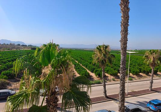 Duplex in Algorfa