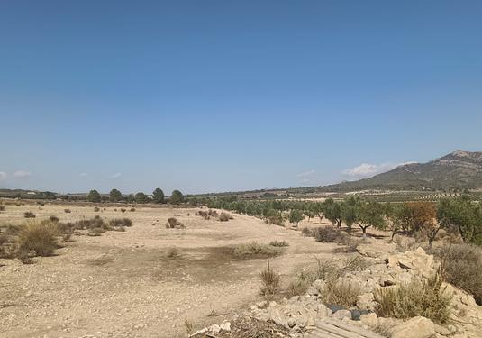 Land in Salinas