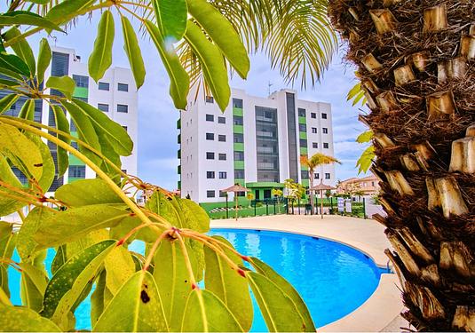 Apartment in Mil Palmeras