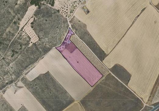 Country house in Yecla