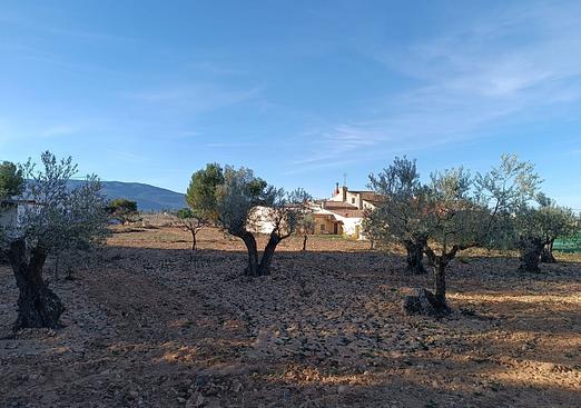 Country house in Yecla