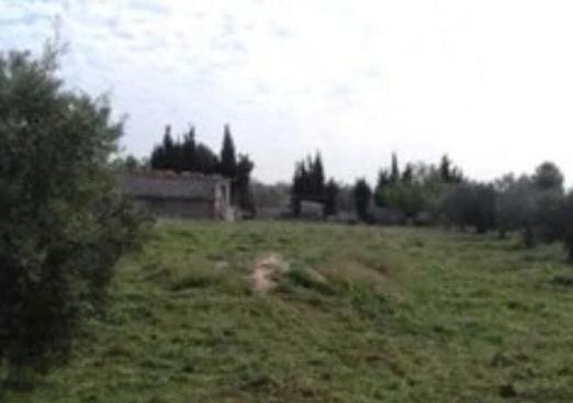 Country house in Caudete