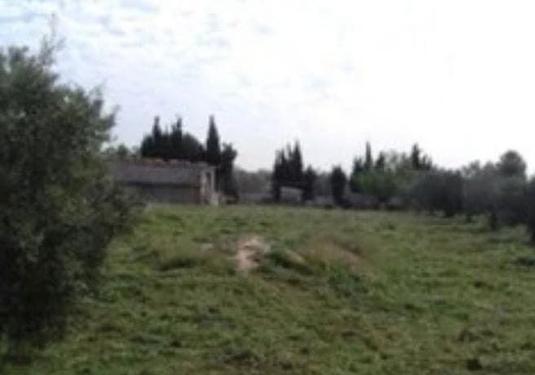 Country house in Caudete