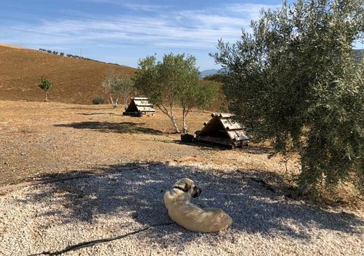 Country house in Alora