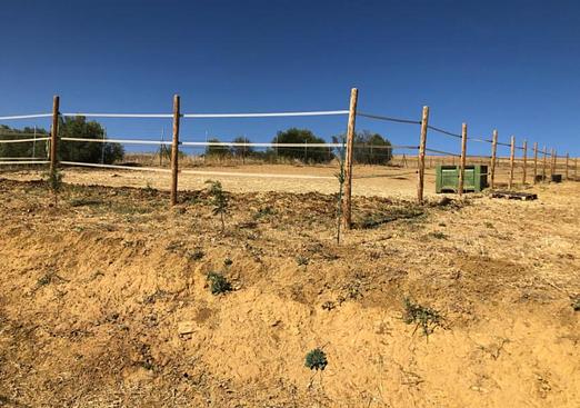 Country house in Alora