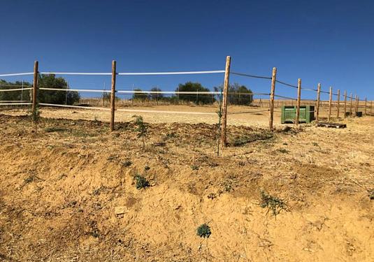 Country house in Alora