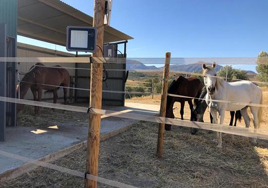 Country house in Alora