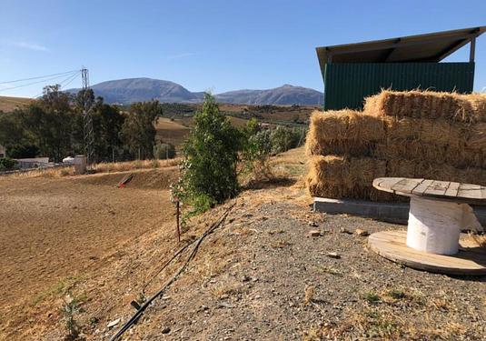 Country house in Alora