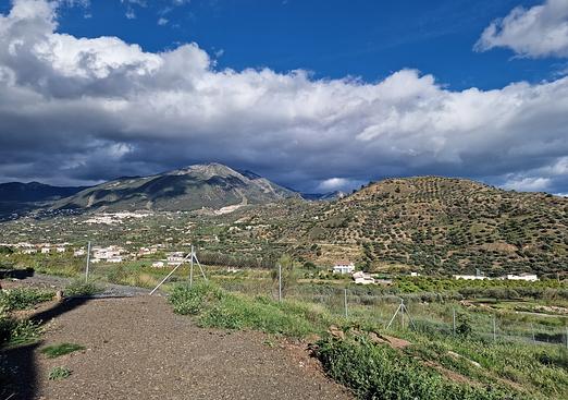 Land in Puente De Don Manuel